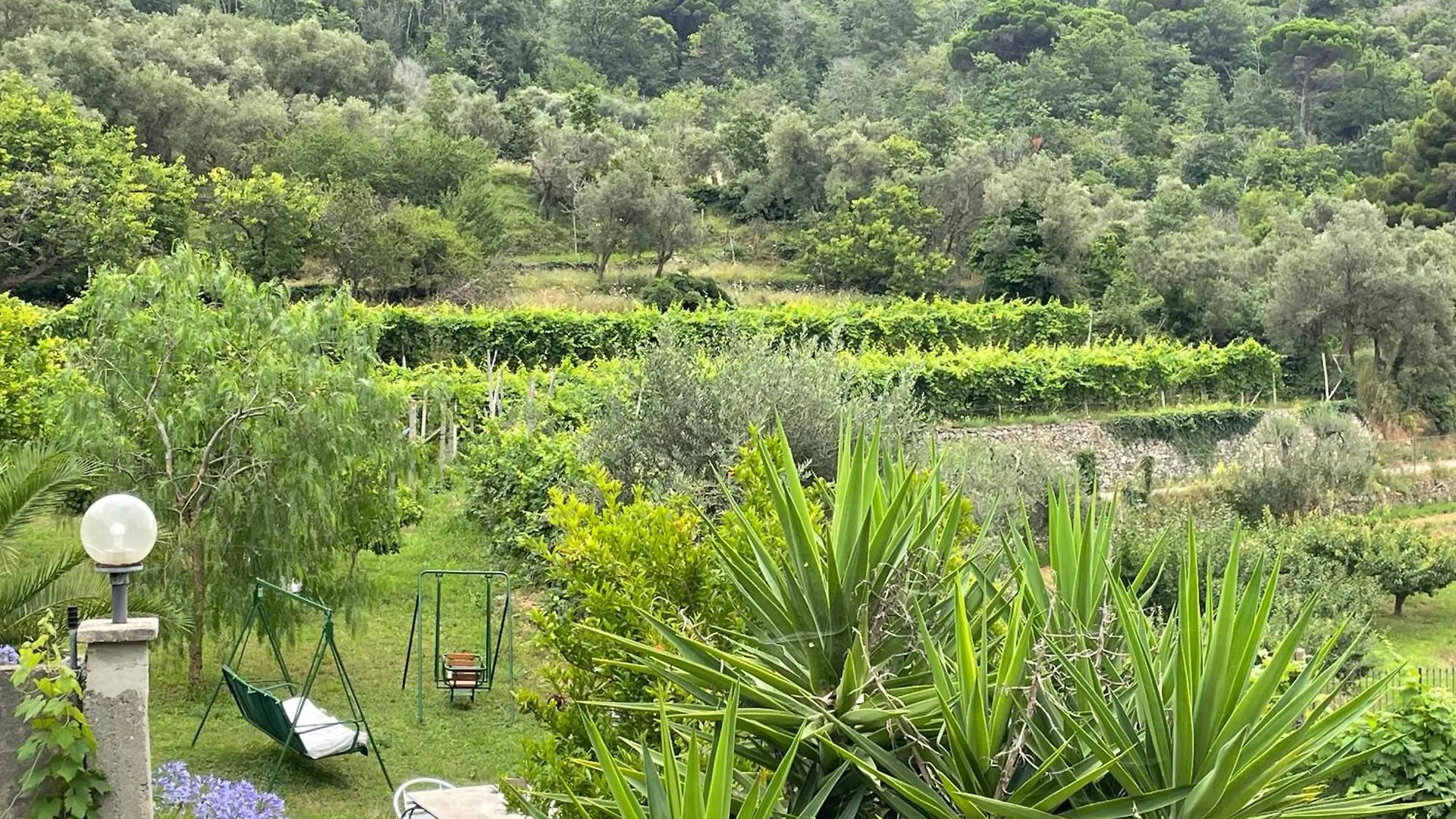 Vakantieboerderij Agriturismo Barilaro Finale Ligure
