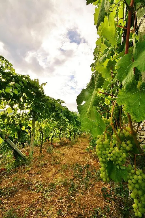 Agriturismo Barilaro Finale Ligure 0*,